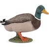 Papo- Anatra Maschio Figura cod. 51155 Animaux Statuetta, Multicolore, Taglia Unica