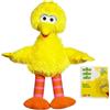 Playskool Sesame Street Playskool - Peluche grande uccello