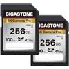 GIGASTONE Scheda di Memoria SDXC 256 GB, Set da 2, 4K Camera Pro, Velocità 100 MB/s per Fotocamera Canon Sony Panasonic, A1 V30 U3 UHS-I Classe 10 per 4K UHD Video, con 2 mini custodie