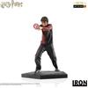LexShop Iron Studios Harry Potter BDS Art Scale 1/10 - Harry Potter