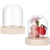 NBEADS 2 Set Cupola di Vetro, Vetrina Trasparente con Base in Legno Massiccio per San Decorazioni Floreali Artigianato Display Decorazione Domestica, 6,15cm Diametro, 7,1cm Altezza