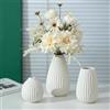 NUPTIO Ceramica Fiori Vaso Bianco: Moderno Decorativi Pampas Vasi per Casa Camera Soggiorno Cucina Tavolo - 20cm+16cm+11cm Piccolo Boho Centrotavola per Matrimonio Set da 3 Pezzi