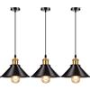 AWEKLIY 3 Pezzi Lampadario a Sospensione Industriale, E27 Lampadario Stile Industriale Vintage, Nero Lampada a Sospensione Dotato Di Cavi Regolabili 100Cm, Max 60W per soggiorno sala da pranzo