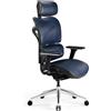 Diablo V-Commander Sedia Ergonomica da Ufficio Sedia Esecutiva Bracciolo 3D Supporto Lombare Poggiatesta Regolabile e Sedile in Rete, Colore: Nero e Blu