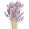 QUARKZMAN 120pz Coda di Coniglio Naturale Fiori Secchi 43cm Mini Erba di Pampa per Decorazioni Floreali Matrimonio Natale, Viola Chiaro