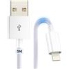 Zestiq Cavo USB A a Lightning da 1M, Cavo Apple CarPlay per Auto, [Certificato MFi] Cavo di Ricarica USB per iPhone in Nylon Compatibile con iPhone 14 Pro/14 Plus/14/13/12/11/SE/X/XS/XR/8, iPad, iPod
