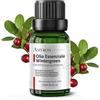 AMYRON Olio Essenziale Wintergreen 15ml AMYRON | Gaultheria procumbens | Naturale E Puro Al 100% Ideale Per Aromaterapia E Uso Terapuetico | Diffusore Oli Essenziali | Massaggi | Uso Alimentare Senza OGM.