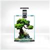 Aquael Shrimp Set SMART D&N 10 nero ECOM