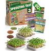 ZenGreens® Vassoio per germogli bio - Set da 3 - Germogliatore con rete - Include vaschetta e semi (crescione, broccoli & ravanello)