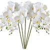 HinyoCo 5 Pz Fiori Orchidea Finta Ramo Artificiali Phalaenopsis Fiori Orchidea per Casa Decorazione (bianco)