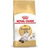 Royal Canin Cibo secco per gatti Royal Canin FBN Ragdoll Adult 2 kg