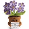 FOSDICK Fiori Positiva, Patata Positiva Uncinetto, Viola Positive Fiori Finti Supporto Emotivo, Motivazionale con Carta, Fiori Non ti Scordar di Me Portafortuna Regalo Donna Famiglia Amici Collega