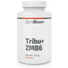 GymBeam Tribu+ ZMB6 90 cps