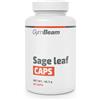GymBeam Foglia di Salvia 60 cps