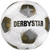 Derbystar Brillant APS v25