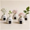 MOUGIGI 5 mini vasi da fiori, fatti a mano in ceramica a forma di sfera di riso (onigiri giapponesi), design affascinante e carino, perfetto per fiori secchi, vasi per boccioli sfusi, artigianato
