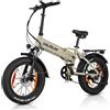 Varun Bicicletta elettrica pieghevole VARUN S20-1 con batteria 48V13AH 1 St