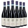 Ca' Viola Barbera d'Alba DOC Brichet 2024 Box da 6 bottiglie