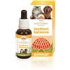 BUSH BIOTHERAPIES Pty Ltd Instinct balance 30 ml - - 935168815