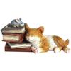 Top Collection Enchanted Story Garden Kitten Napping on Books Trinket Box and Ring Holder Outdoor Decor