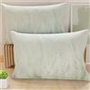 PETTI Artigiani Italiani - Coppia di Federe Cuscino 40x70 cm in Microfibra, Cuscini Arredo Camera da Letto, Divano, Salotto, Set 2 Fodere Copricuscino, Federa Foglia Salvia, 100% Made in Italy