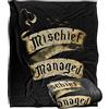 LOGOVISION HARRY POTTER Coperta, super morbida al tatto, 152 x 127 cm