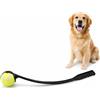 PARENCE. Large ball launcher per cani 63 cm con palla - Giocattolo interattivo per cani - Large launch in plastica - Colore casuale