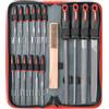 Hi-Spec Lime, Set Lime per Ferro e Lime ad Ago in Acciaio al Carbonio per Sbavare e Sagomare Metallo/Legno, con Spazzola e Astuccio con Cerniera, 17 Pezzi