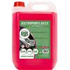 Motorkit MOT3541 5L 50% ANTIGELO Rosa