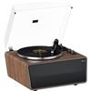 XJ-HOME All in One Giradischi Vinili Vintage con 4 Altoparlanti Stereo Integrati,Preamplificatore Phono,Altoparlanti Bluetooth,Supporto Uscita USB to PC Digitale,Magnetica AT-3600L,33/45 Giri,AUX IN,RCA OUT