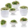 INGJIA 8 PCS Set di Piante in Miniatura per casa delle Bambole, Casa delle Bambole, pianta Bonsai 1:12, Mini Piante in Vaso da Giardino, Piccolo Fiore Modello Verde Ornamento