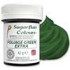 Sugarflair Colours Sugarflair Maximum Concentrated Paste Colour Foliage Green, Verde, Colore per Pasta di Zucchero, Marzapane, Colorante Alimentare - 42g