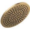 Delta Faucet 52158-CZ25 - Soffione doccia Raincan a regolazione singola, in metallo, colore: bronzo champagne