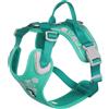 Hurtta Imbracatura Hurtta Weekend Warrior verde pavone 80-100cm