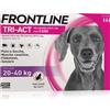 Frontline Tri Act cane 20-40kg 3 pipette da 4ml