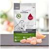 Platinum Adult Chicken 5kg crocchette cane 3 x 5kg