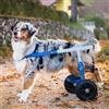 Balto Off Road carrellino ortopedico regolabile per cani disabili