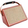 summina Amplificatore per chitarra acustica 15W Amp AC-15 BT Altoparlante con ingresso microfono Supporta volume Bass Treble Control Effetto riverbero Batteria ricaricabile integrata