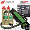 CASTROL - HIFLO - BRAKING - BANDO - MITS Tagliando HONDA SH 300 / ABS 2018 2019 Kit Olio Filtri Cinghia Rulli Pastiglie
