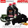 Motul - Hiflo - NGK - Bando - Mitsuboshi Tagliando APRILIA Scarabeo 500 Light 2006-2009 / Kit Olio Motul Scooter 5W40 4T