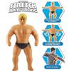 STRETCH ARMSTRONG, figura alta 25 cm, figura allungabile, Stretch Armstrong, giocattolo per bambini dai 5 anni in su, TRE03