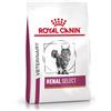 Royal Canin Veterinary Renal Select | 2 kg | Alimento dietetico completo per gatti | Può aiutare a sostenere la funzione renale nell'insufficienza renale