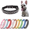 ONEFOJOJO Collare per cani con fibbia in metallo con borchie borchiate, rivetto punk, funghi, collare regolabile per cani di taglia XS, S, M, L, XL, colore: nero, S