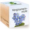 Feel Green Ecocube - Idea regalo sostenibile (100% Eco Friendly), Grow Your Own/Kit per coltivare piante in cubo di legno, Made in Austria
