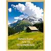 Ditwis Cornice 30x40, Cornice Oro per Poster, Foto, Opere d'Arte e Puzzle 40x30 cm, Porta Poster da Parete per Casa, Ufficio e Gallerie