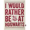 Half Moon Bay Strofinaccio di Harry Potter, strofinacci per cucina e accessori da cucina, regali di Harry Potter e regali di Harry Potter per donne, strofinacci da cucina e strofinacci in cotone |