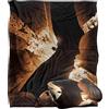 LOGOVISION BATMAN Begins Begins Poster Coperta super morbida al tatto setoso - 152 x 127 cm