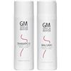 Generisch Gisela Mayer - Kit per la cura dei capelli sintetici, shampoo da 200 ml + balsamo da 200 ml, cura per parrucche sintetiche, tuupes bigodini, anti-ricci, lucenti e pettini leggeri