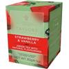 Taylors® | Tè Verde Fragola Vaniglia - 20 Bustine (30 Gr) | Tè Verde Sencha Aroma Dolce Fragola e Cremosa Vaniglia