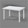 TAVOLO RESINA RATTAN 120X80 BIANCO